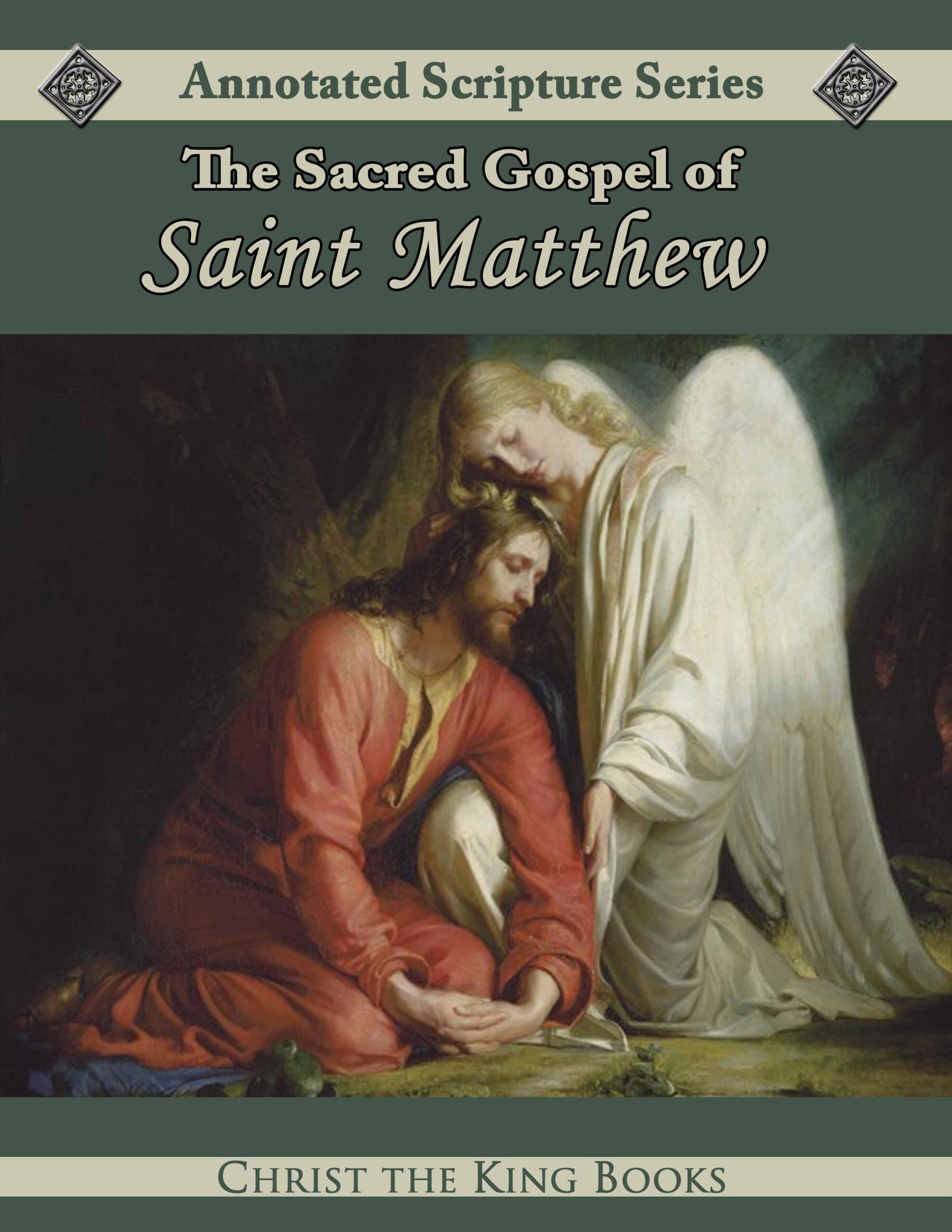 Image for Annotated Holy Gospel of St. Matthew