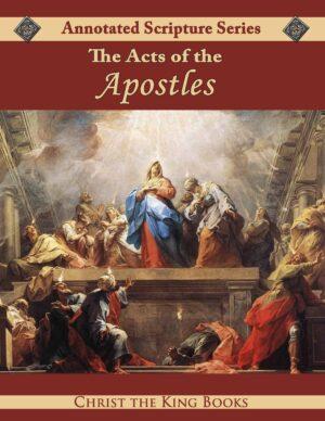 Annotated Acts of the Apostles (A helpful and illustrated version for high school students)