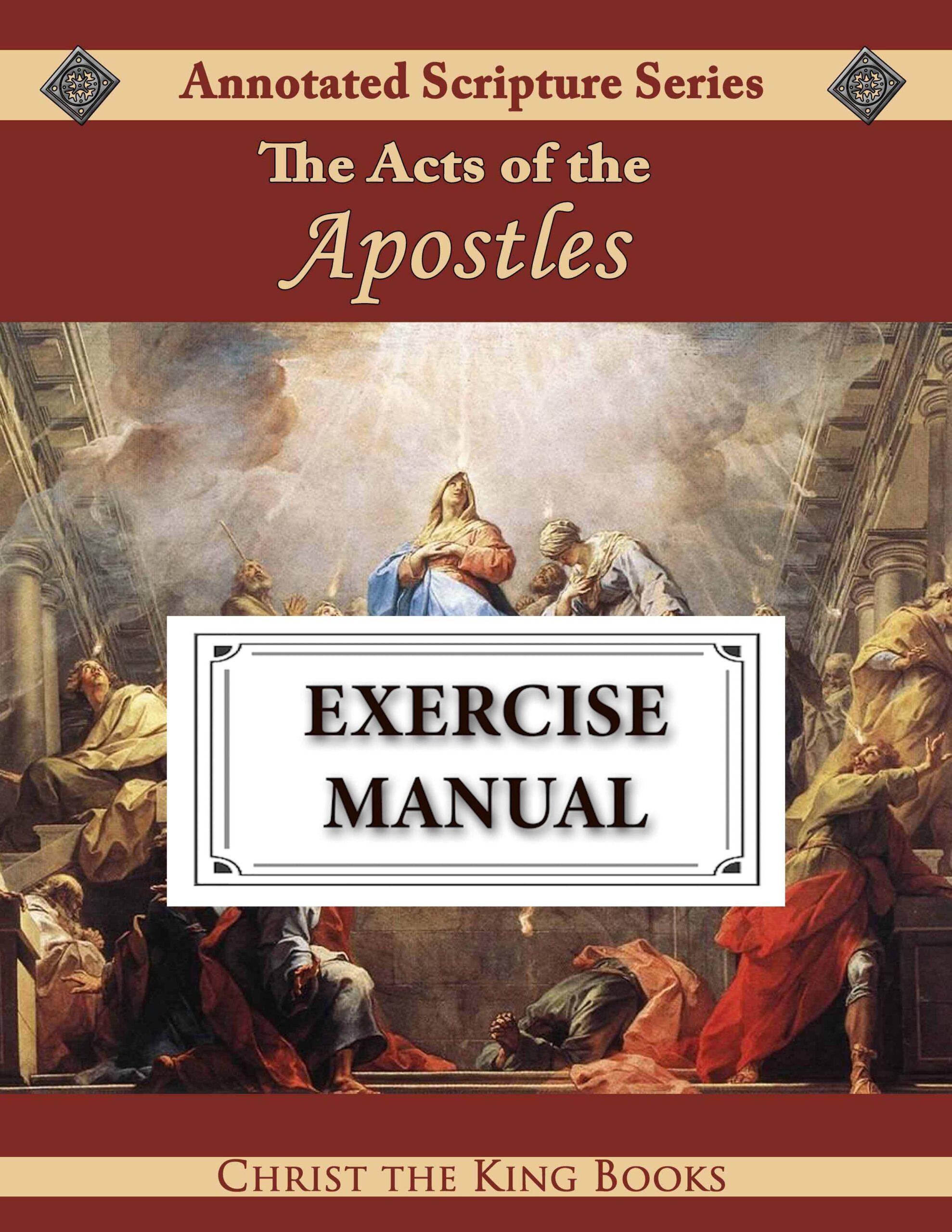 Image for Annotated Acts of the Apostles - WORKBOOK